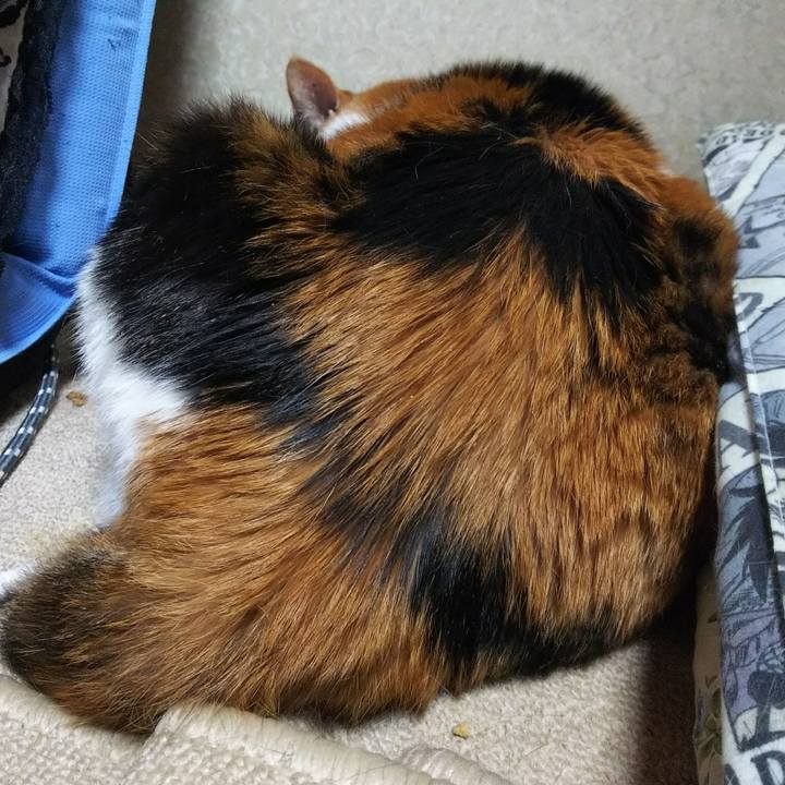 0ef2c4e0 138b 4921 a163 ad2cba3af92c 1526847035793