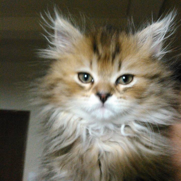 0ef316e0 8538 49de 887b 54e9c4278b45 1596588087453