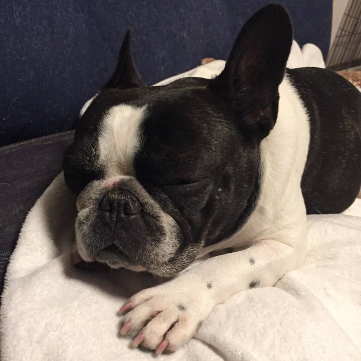 0ef39ed3 64a6 4485 8750 3b7ca0c78477 1547561635774