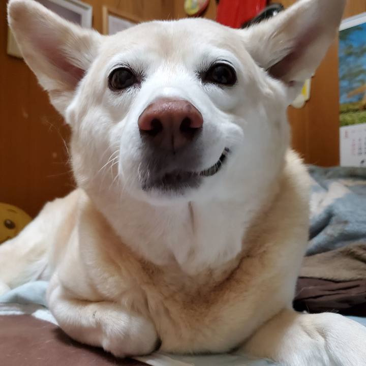 0ef3a9ee 42db 47f0 9f02 129fbfbf61a6 1613620527087