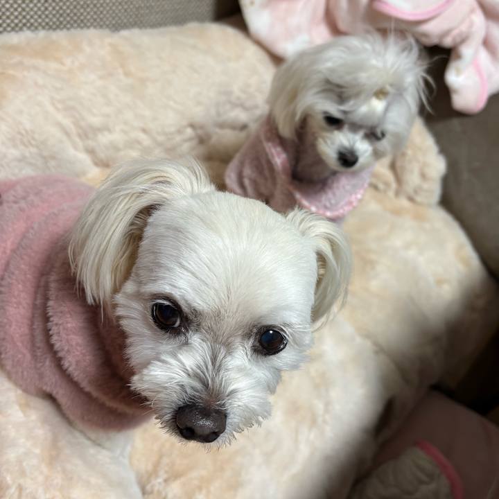 0ef3ad05 4a2b 4a8f a217 d2ff15bc889d 1739873177100