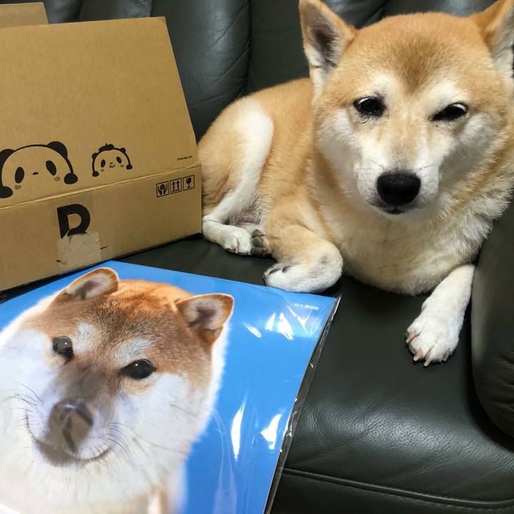 0ef3d48e 7619 4d8f 8bcf 027e763c50d3 1599561030248