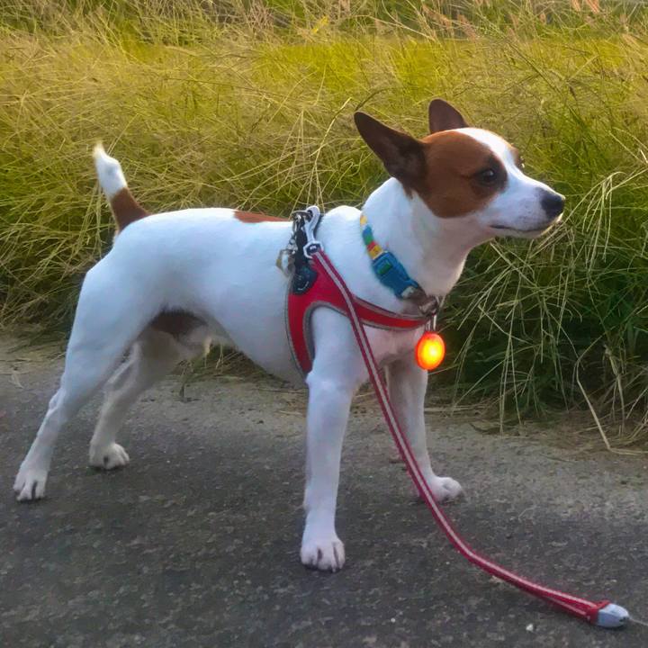 0ef3d95e 6709 4671 8370 94bf9e894960 1509701310554