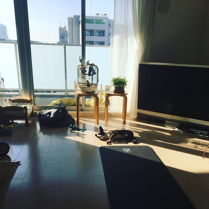 0ef40ed7 d9bf 4024 8bee 3f9f1666b28a 1542859485189