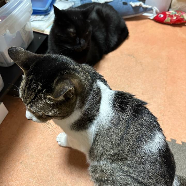 0ef43702 13de 488c ab62 e91b6394f38b 1671937071151