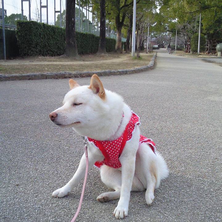 0ef43c01 e7e2 47e7 a863 0f4626845faf 1678115934961