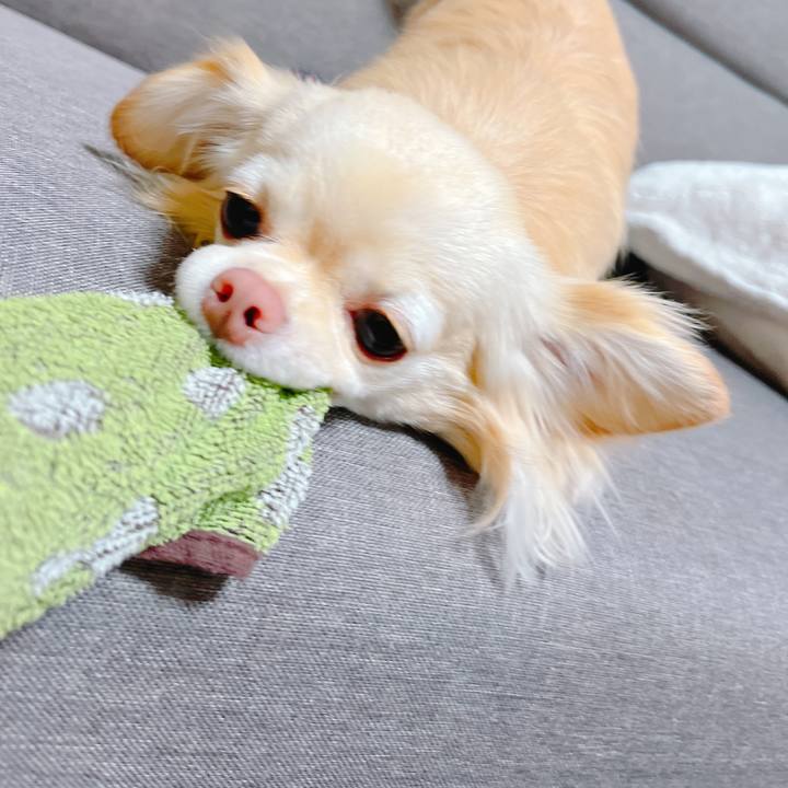 0ef43fad 5d88 4ad0 92f0 8f8591995502 1649241603297