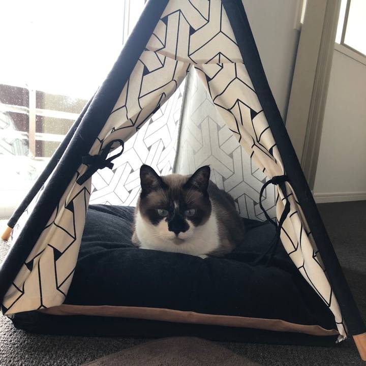 0ef48c0c d8ee 4119 9df1 6f9c7d094c07 1587899741291