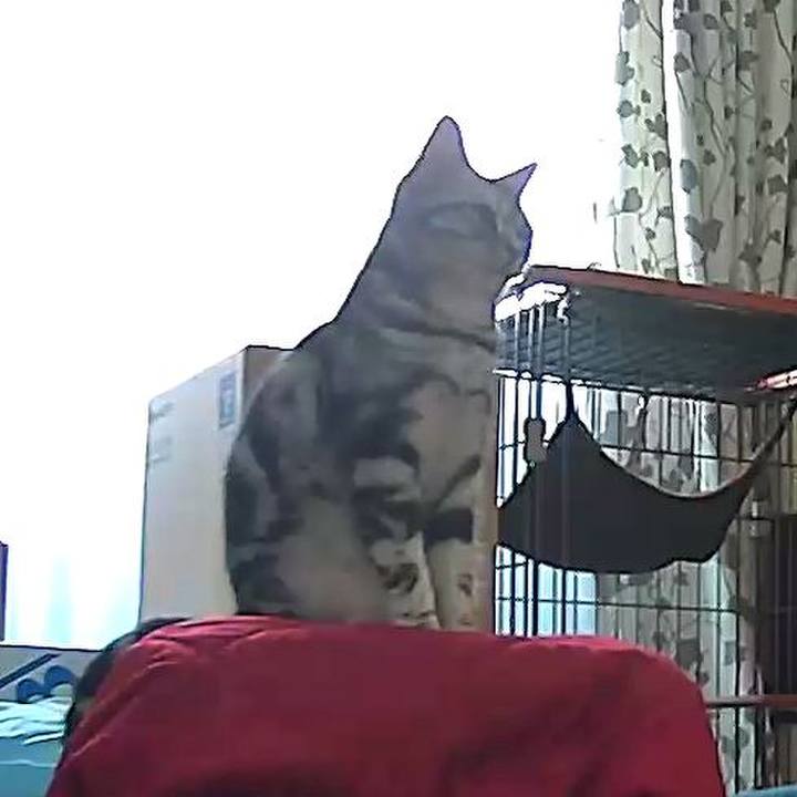 0ef49375 a188 43a4 a2a1 4aa568f9f5c7 1551132615478