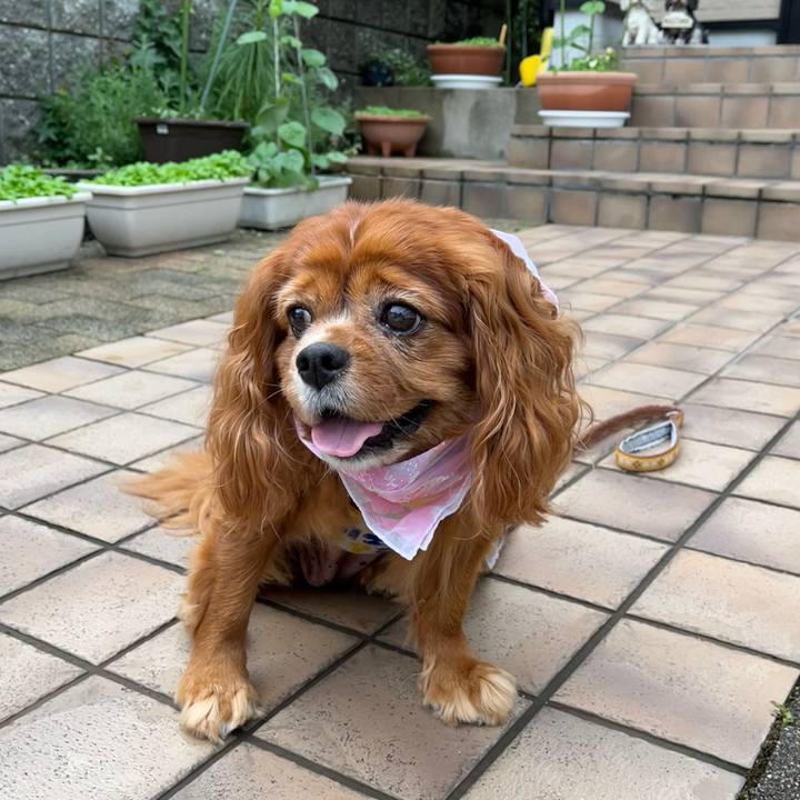 0ef49703 e0b6 43bc ae6b 94a00d4a6218 1688254911352