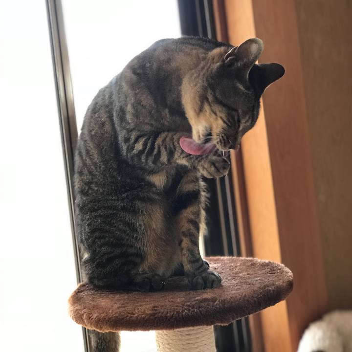 0ef4cfcc 785a 43a3 8fb5 bd277a22dc92 1525051612269