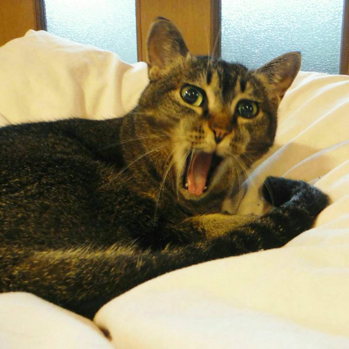 0ef51316 e4d3 4bd9 afe7 7a064391349b 1571200448396