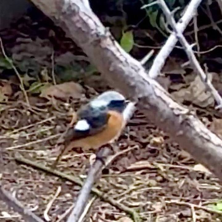 0ef54df4 d9cc 4e07 8304 275b1b8292fa 1765621755449