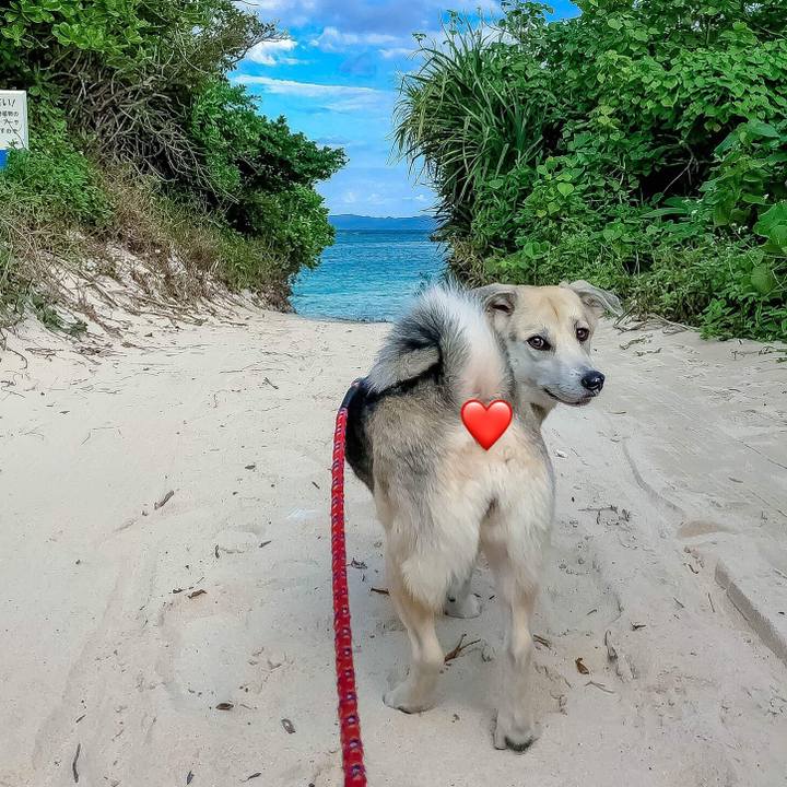 0ef55b27 f0ea 4d27 8184 df7da64fe687 1516017319333