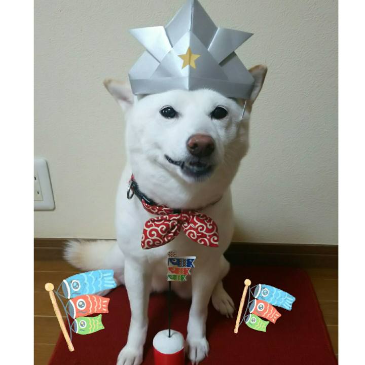 0ef594f6 eb84 4456 a470 b15861616a9d 1588636294860