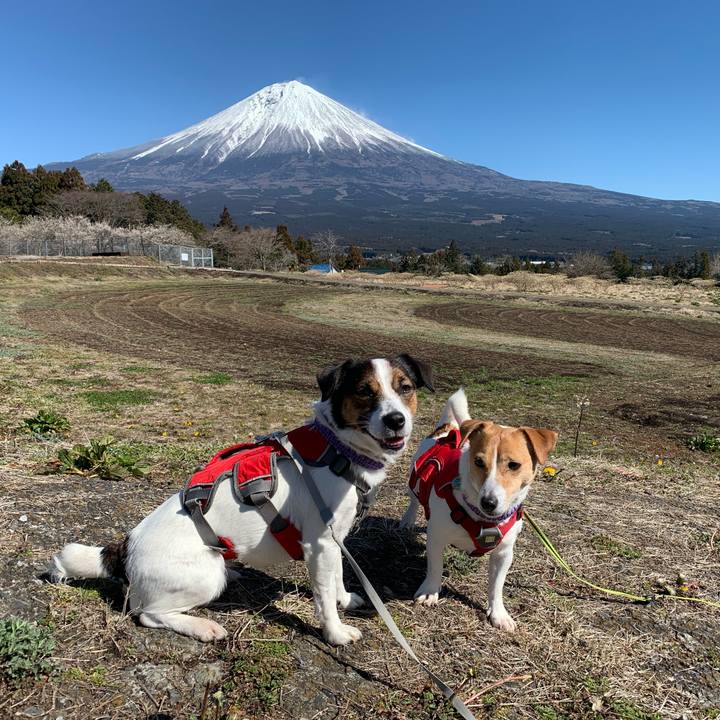 0ef5e66b 575d 437f 852f 9152e7dc3c8e 1582440985881