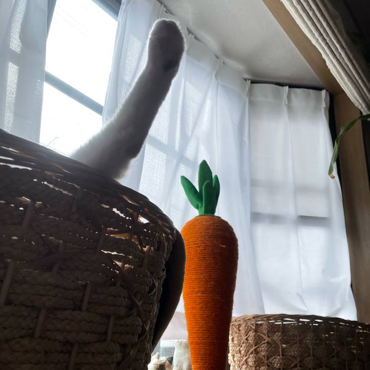 0ef60c08 031f 44c7 b4a8 5657323c13cd 1707270507167