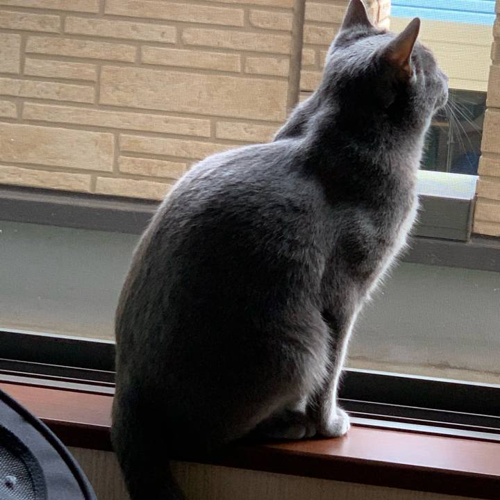 0ef61156 d998 4128 8df2 8234f95e9c4b 1593471328073