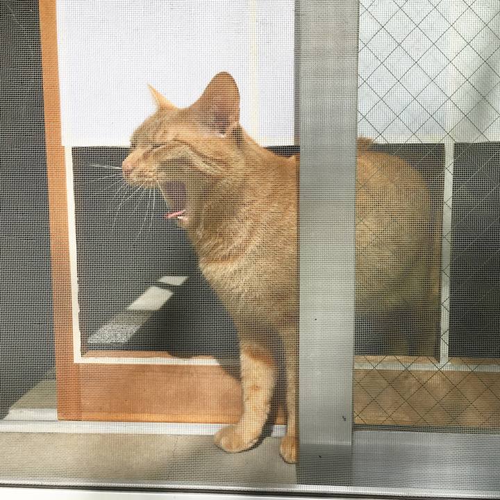 0ef62806 efa5 4831 a174 b754c2ea83d7 1529619142069