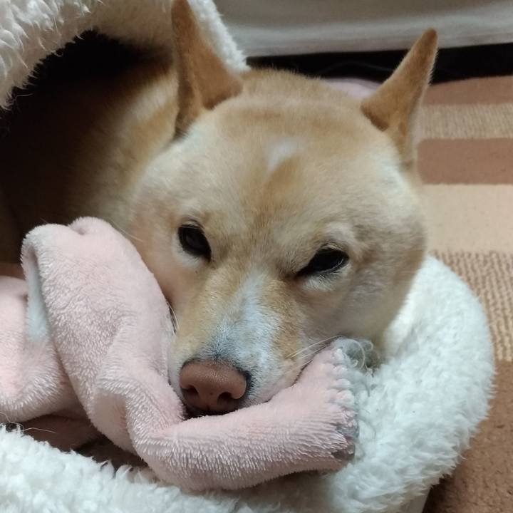 0ef65f25 e5df 4fb8 a410 f4e25f89a777 1605179437328