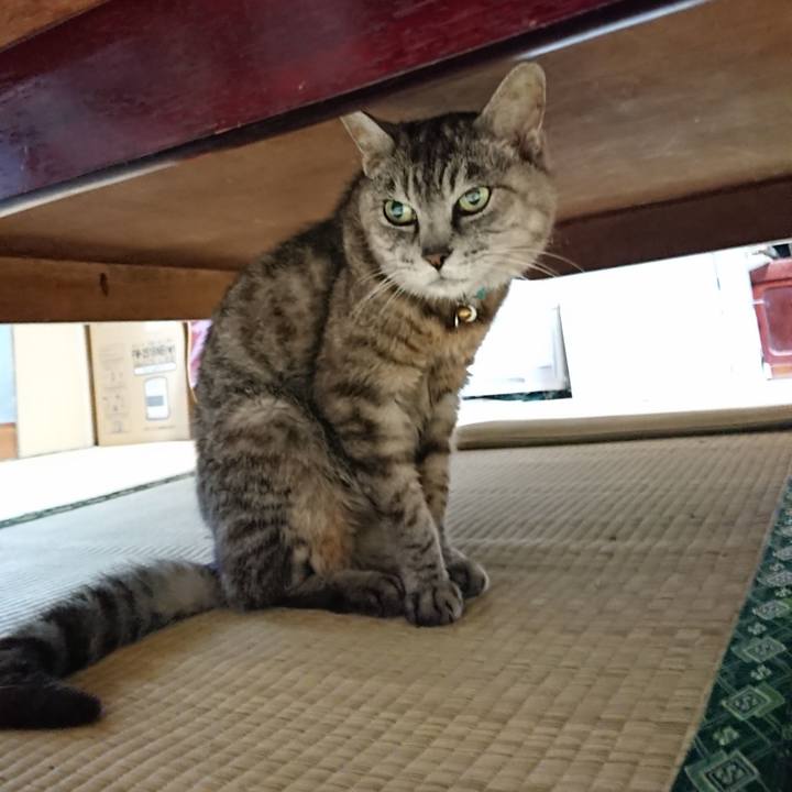 0ef6742f 3aab 40de 8bc5 dd40acb0d709 1566419981842