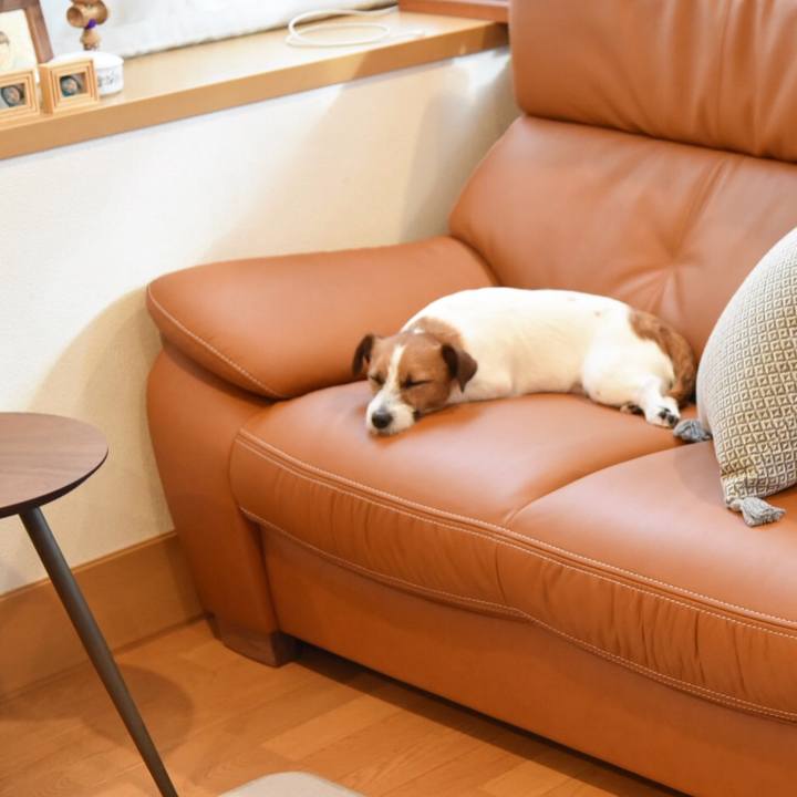 0ef67867 8736 475e a177 1e7125f0be87 1521891564701