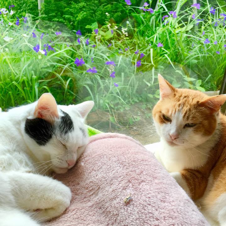 0ef6ad4e 7c6a 492d 950b 4d9a8cb907af 1559014512898