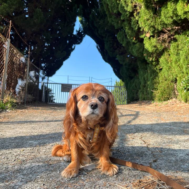 0ef6b6cc f944 46ec b730 54504e7d0e7f 1774316375326