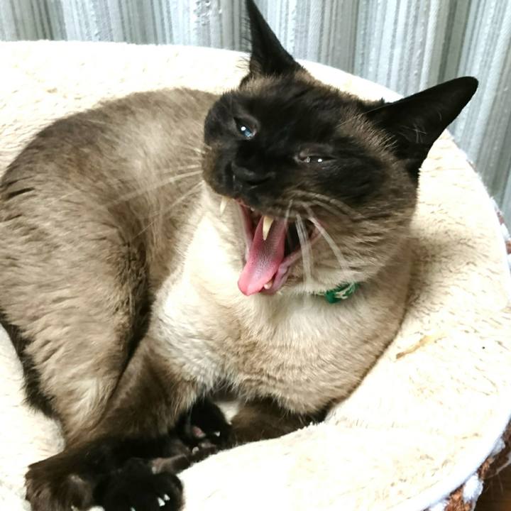 0ef6ea46 9c8a 4704 8526 4047f5eba0b9 1525780843317