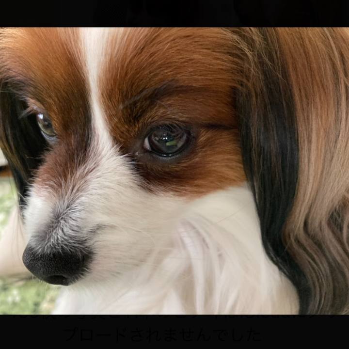 0ef6f396 f474 4792 b626 e69203e6b7f9 1651457683763