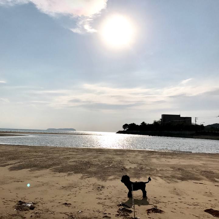 0ef711f4 17f6 4e4c a6a6 adf7296e27d9 1552645553591