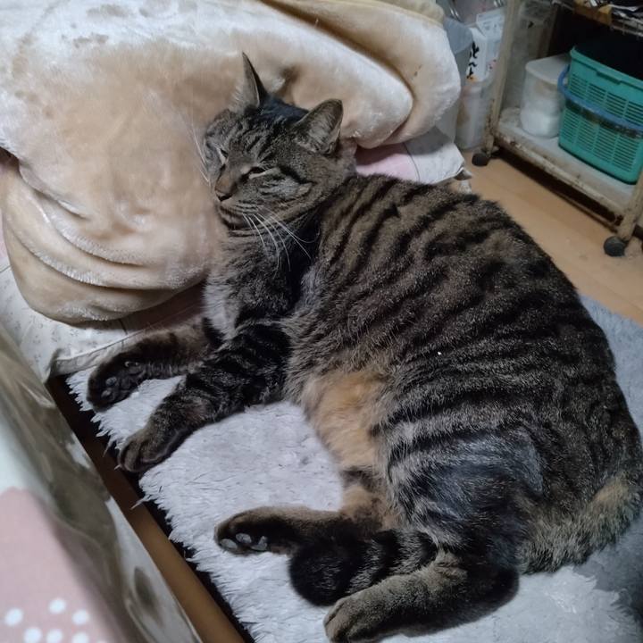 0ef722a6 bfc0 44bd 92b4 5bf0c047a028 1671192936732