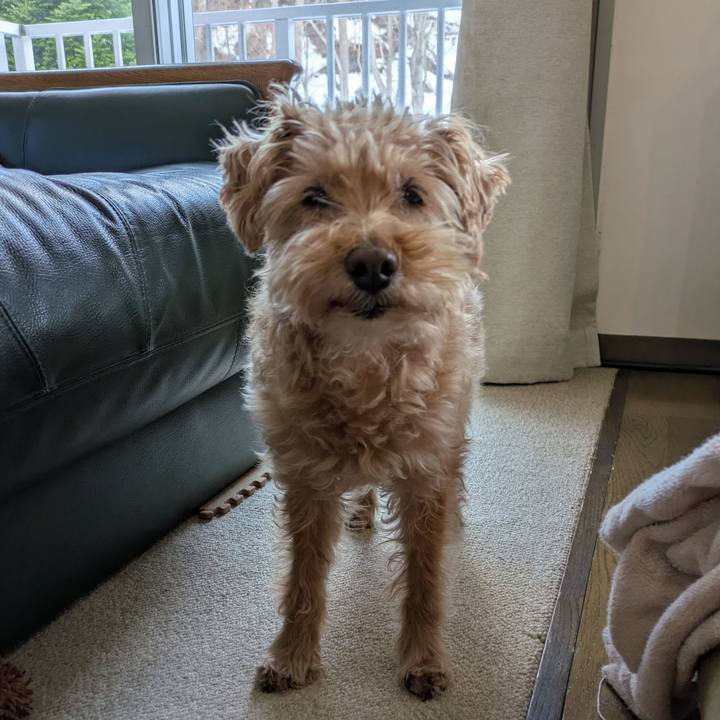 0ef73d87 32b1 41bd 90cd 74128852ffd3 1774307565790