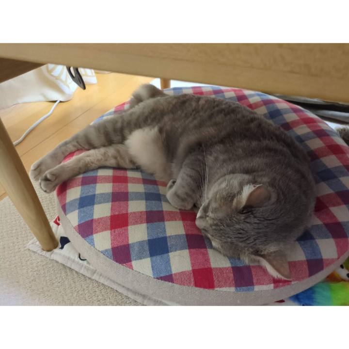 0ef77d05 a9a3 441b bc44 e01a0430653f 1689690534975