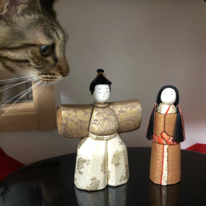 0ef7a8e0 8446 4ecf 8707 4da9c0c28331 1646318956844