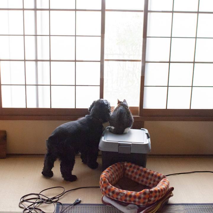 0ef7bc27 3d2b 4d8f 8a24 34cf226743ad 1548933693034