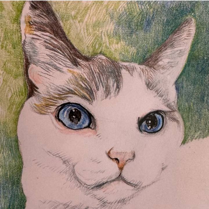 0ef80dc0 14e5 423f 9797 3ac0eb368fe3 1742986392614