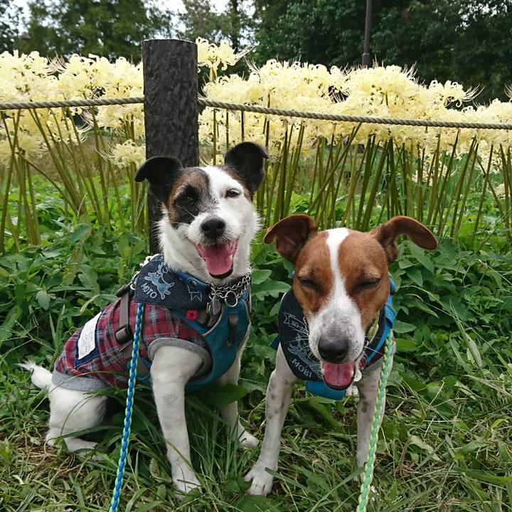 0ef82420 08d4 4ca4 98ec fcead302623c 1601701577891