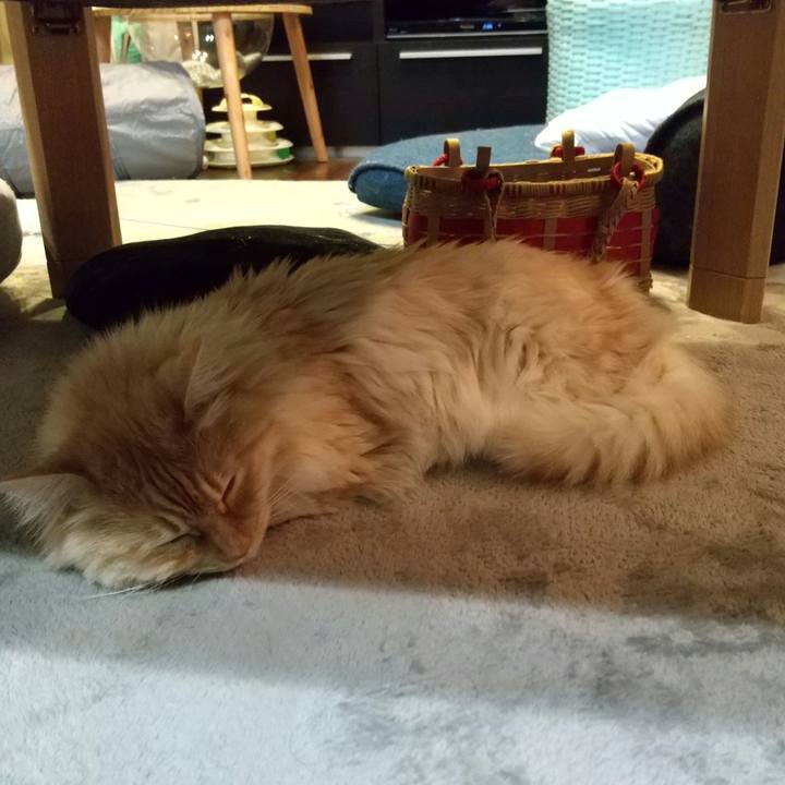 0ef8354e e18b 43e4 a0b0 81c15151a7bb 1650199838964