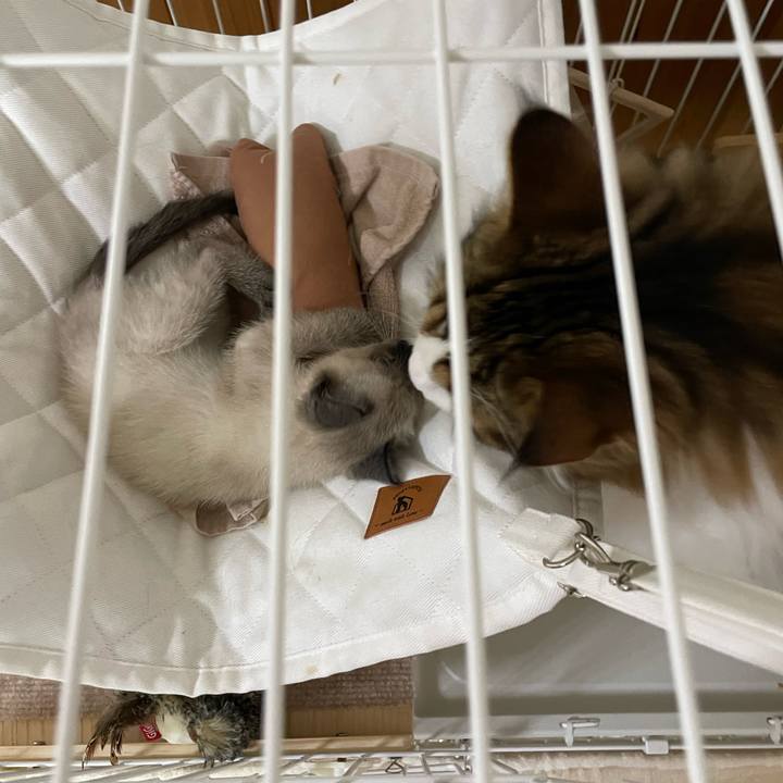 0ef8362a 1dd0 411e a061 eb1a36971c50 1687725292307