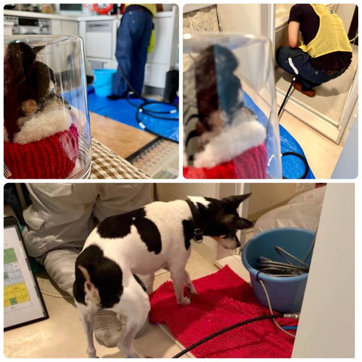 0ef8a423 c71f 4cf6 98b4 d37c215945a3 1659839755985