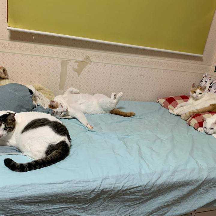 0ef8c0c5 8935 46c2 81f2 e09b632f2fd6 1623514936509