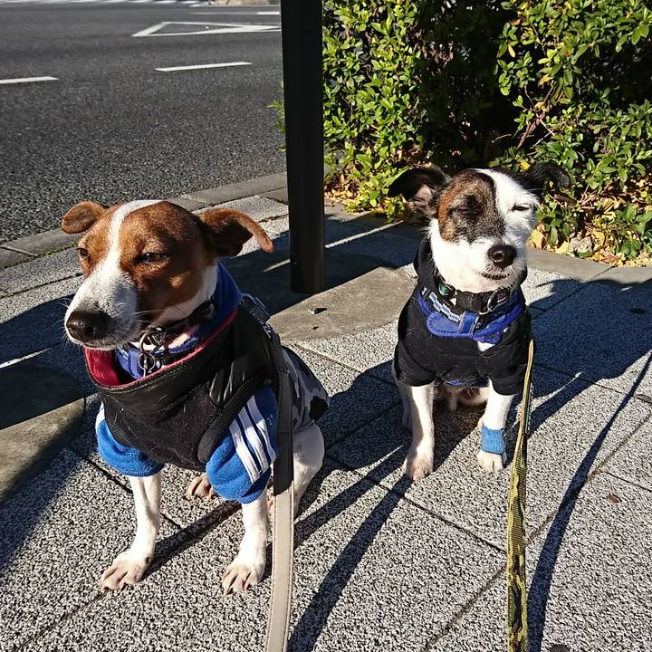 0ef8f743 3ee4 401a 89bf df1aad420ce8 1546128295255