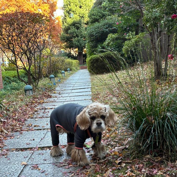 0ef8ffcd 9989 4277 be75 4b85b76619e1 1764947748663