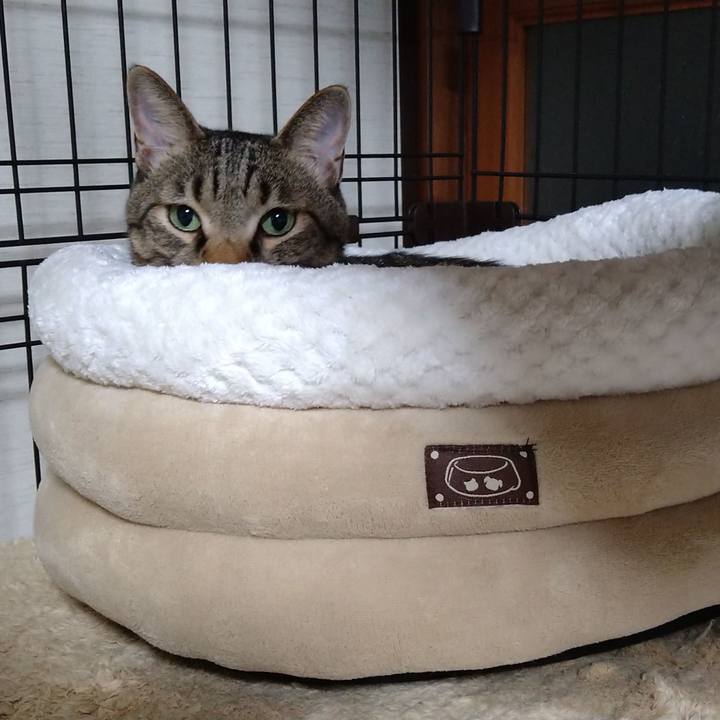 0ef918f6 d2a7 4676 bb70 8785efc0f269 1633952182573