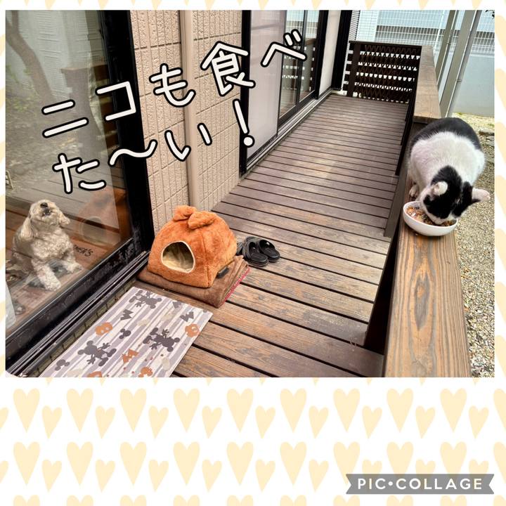 0ef92d4f 0def 4d34 b9b7 3c5f4256c354 1774240366178