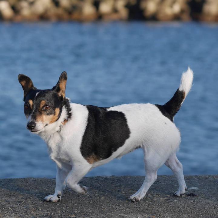 0ef95d3b 0642 4124 82e4 0665d9609a27 1698384445449