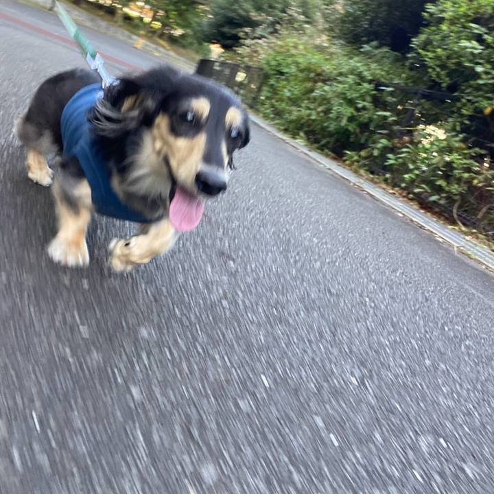 0ef9a0dc 7e74 40b2 9644 e06c95a84318 1760748350666