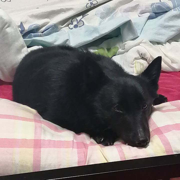 0ef9ae95 37fc 4aca 8093 a86838503b2d 1645478765578