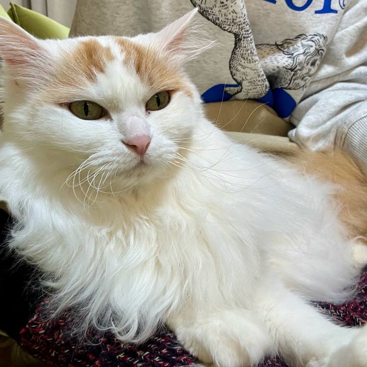 0ef9b4a3 126e 402d ac7e 4a90e8da0eb8 1771044233171